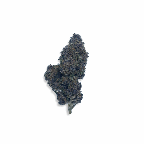 Purple Dream